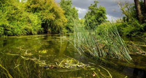 Suffolk Wildlife Trust ~ Annual General Meeting