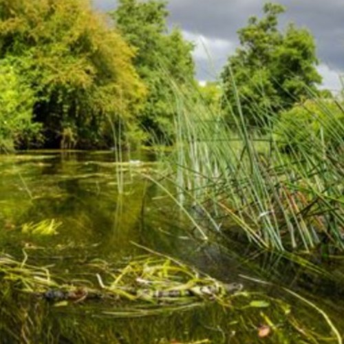 Suffolk Wildlife Trust ~ Annual General Meeting